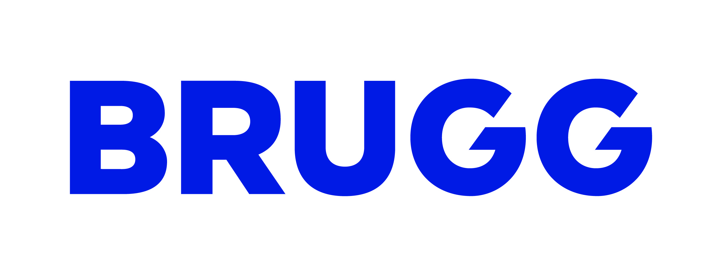 RZ Brugg Logo